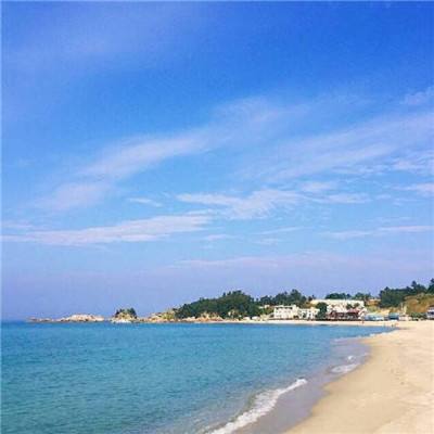 海岛原始人游戏下载